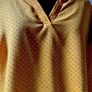 Hilary Radley Dress Blouse